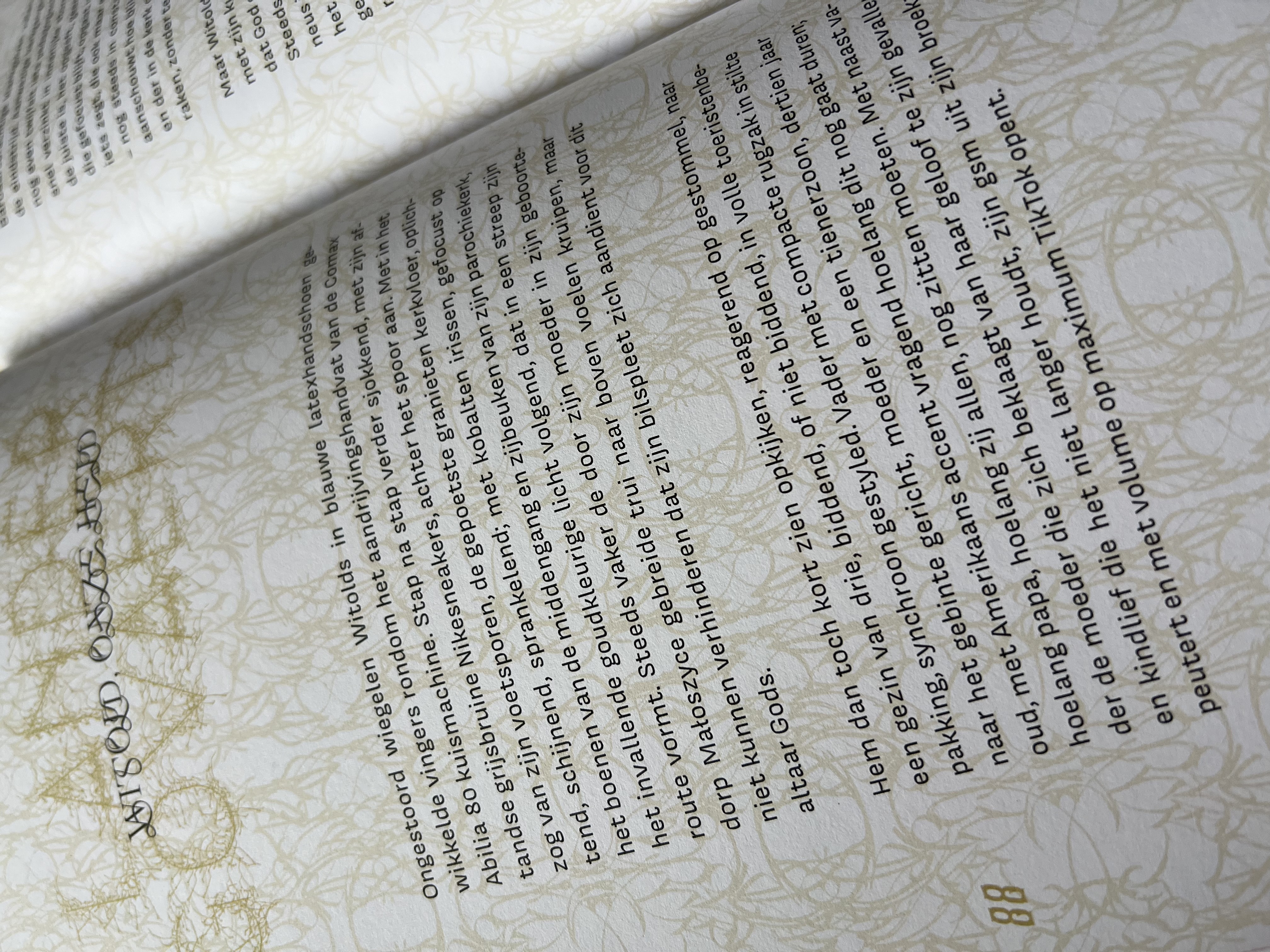 #49 Ornament (+ ‘U bevindt zich hier’) - Afbeelding 4